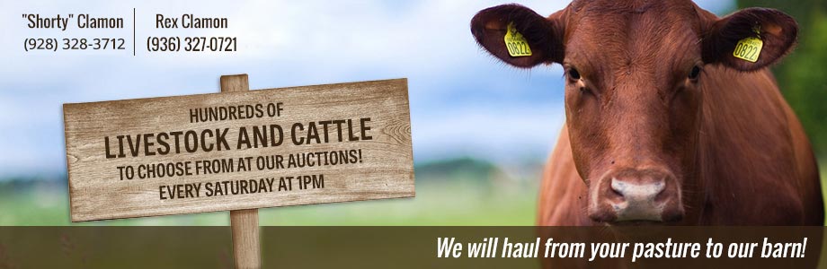 Livestock for Sale Livingston TX
